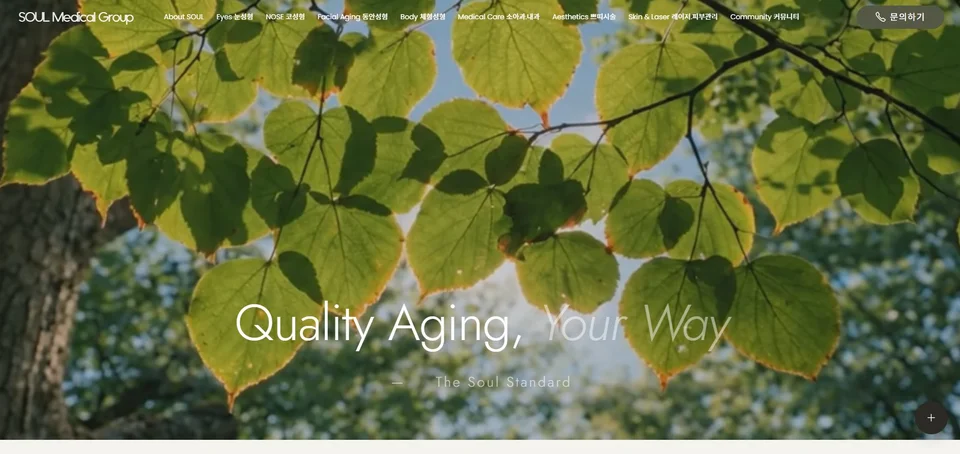 LogAgency가 제작한 쏘울성형외과 홈페이지 — Quality Aging 브랜드 리뉴얼 + 아임웹 48페이지 이전